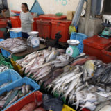 マレーシアの魚売り場
