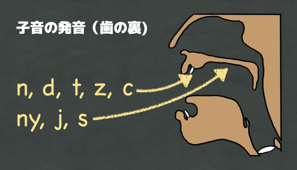 マレー語の子音 歯の裏 Kura Kura Net